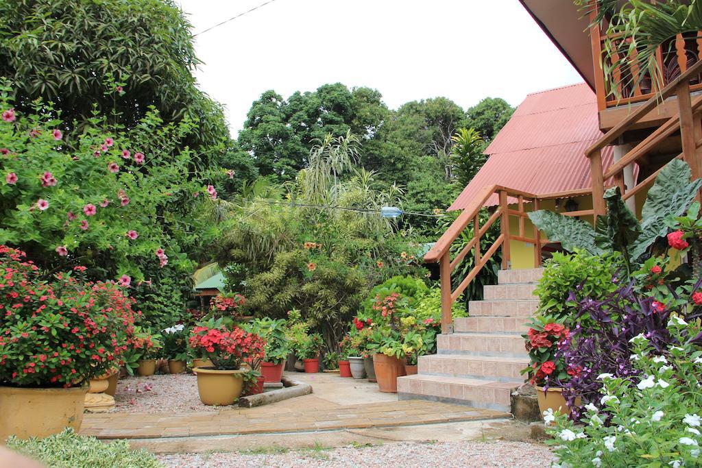 Belle Des Iles Bed and Breakfast La Digue Exterior foto